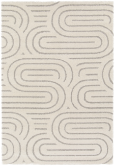שטיחים מודרניים
